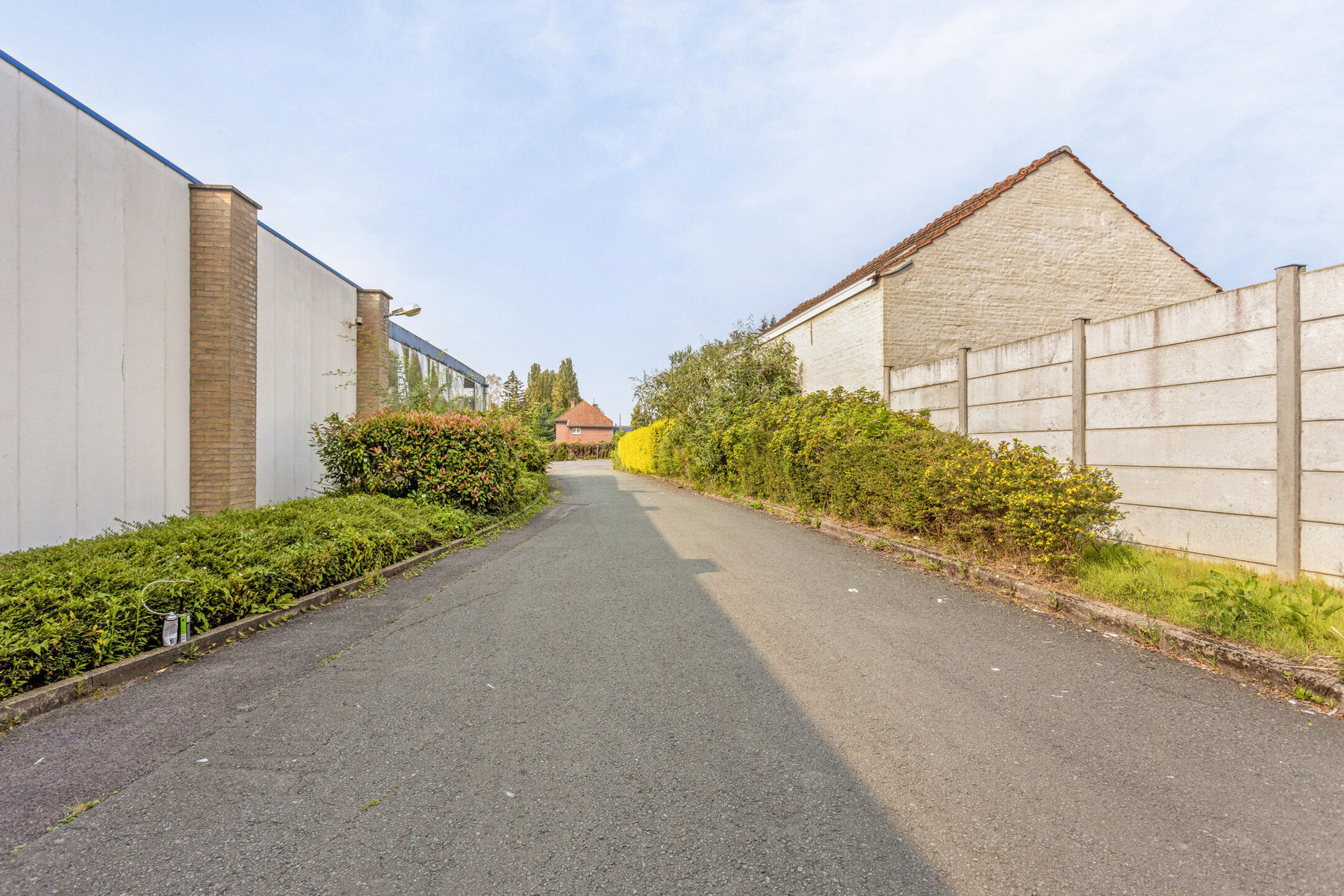 Strategisch gelegen terrein van 29a met multifunctionele loods - foto 4