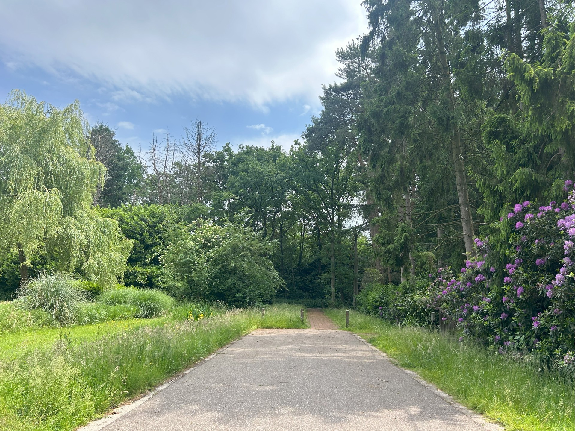 Knappe bouwgrond in doodlopende straat in Sint-Job-in’t Goor - foto 5