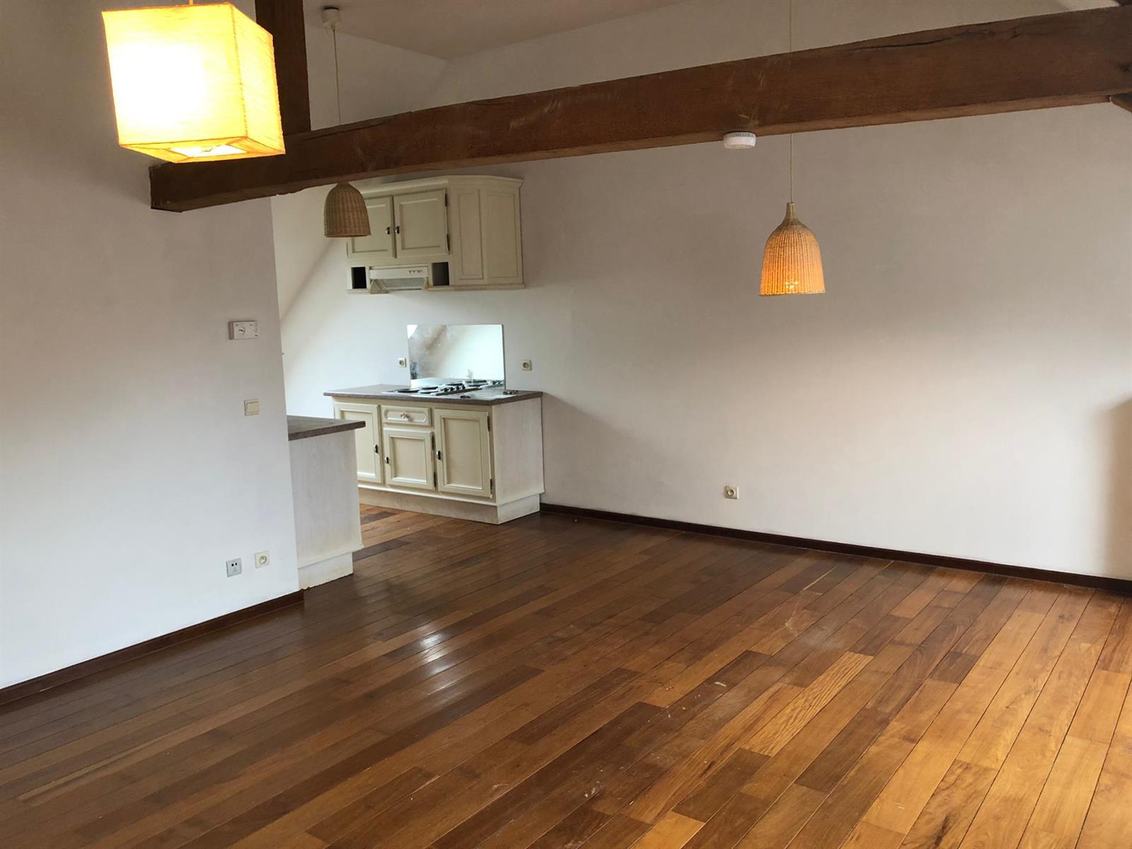 BURST - Interessante opbrengsteigendom van zeven units - foto 5