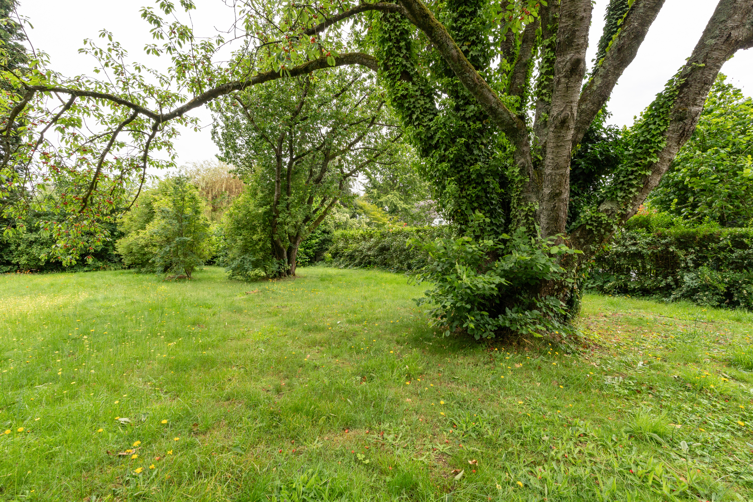 Terrain à vendre à Wezembeek-Oppem - photo 4