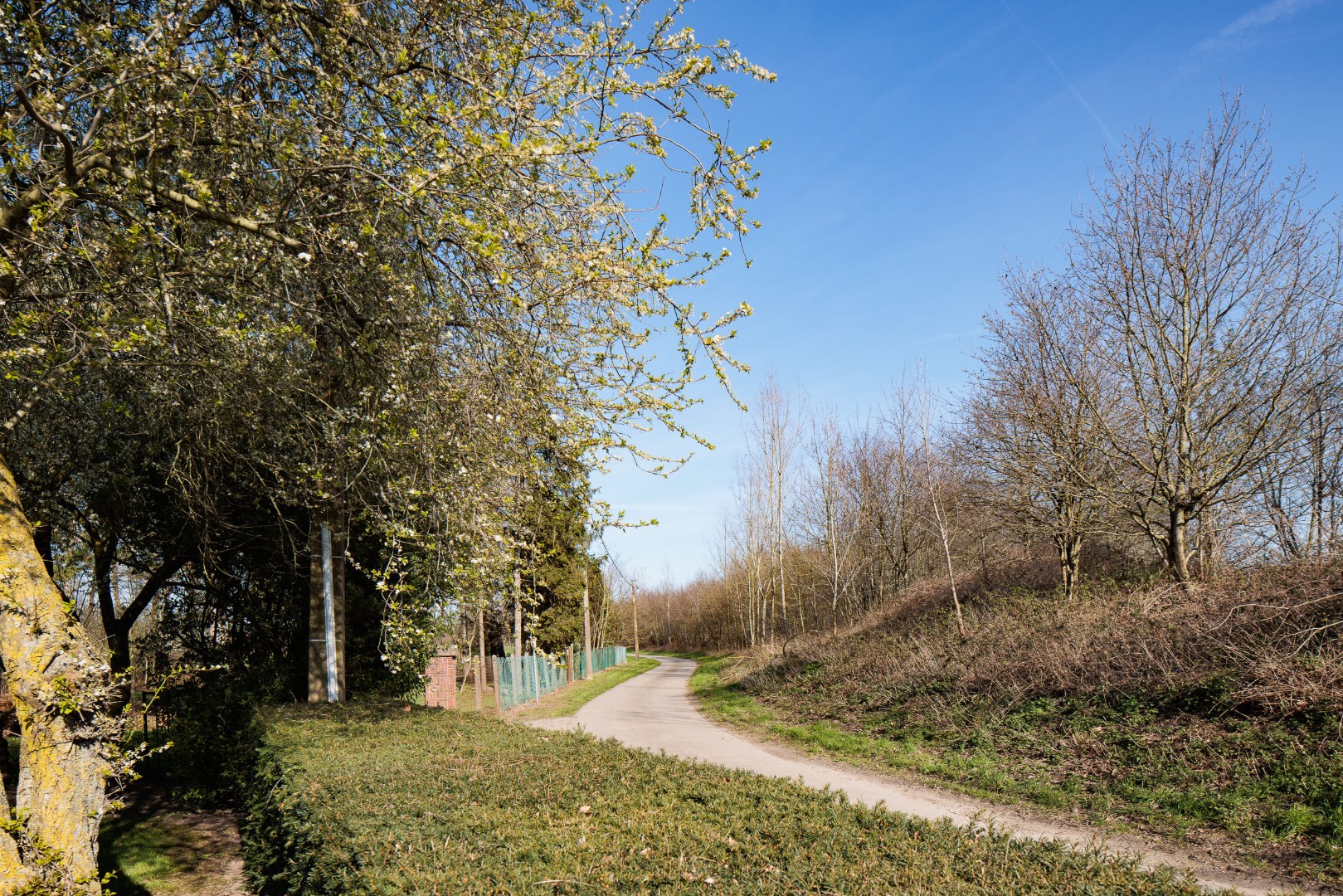Prachtig gelegen bungalow meer dan 5000m2 met magazijn, garage en tuin - foto 5