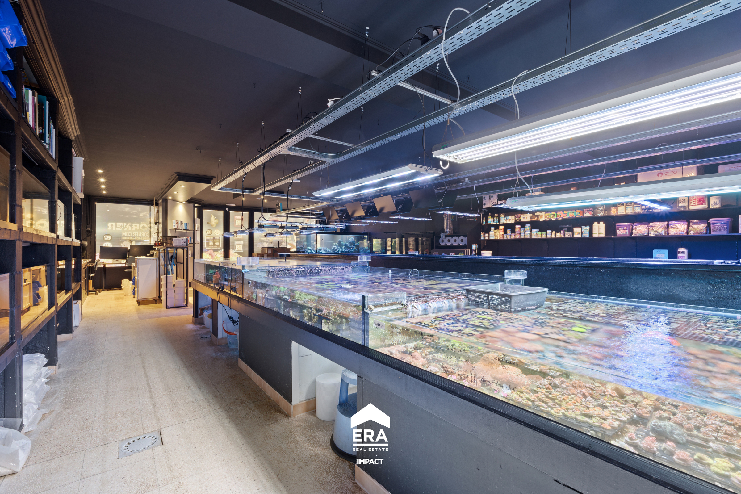 Polyvalente ruimte/handelspand in hartje Neerglabbeek - foto 4