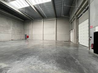 <p>Dit unieke bedrijfsgebouw met opslagruimte en kantoren is ideaal gelegen, vlak naast de E40 ter hoogte van Erembodegem. De kantoren van 344 m² zijn volledig ingericht en bemeubeld, met werkplekken voor 10-12 personen. Aansluitend bevindt zich een gemeenschappelijke ruimte met keuken, sanitair, ontspanningsruimte en vergaderzaal.<br />De opslagruimte van 758 m² heeft een vrije hoogte van 9 m en is uitgerust met een sectionaalpoort en laadkade. Daarnaast zijn er lichtstraten, een polybetonvloer (3 T/m²), drijfkracht en andere functionele voorzieningen aanwezig.<br />Er kunnen tot 9 parkeerplaatsen bijgehuurd worden, met of zonder laadpaal.<br /><br />Bij interesse, contacteer Structura.biz voor een bezoek ter plaatse!</p>