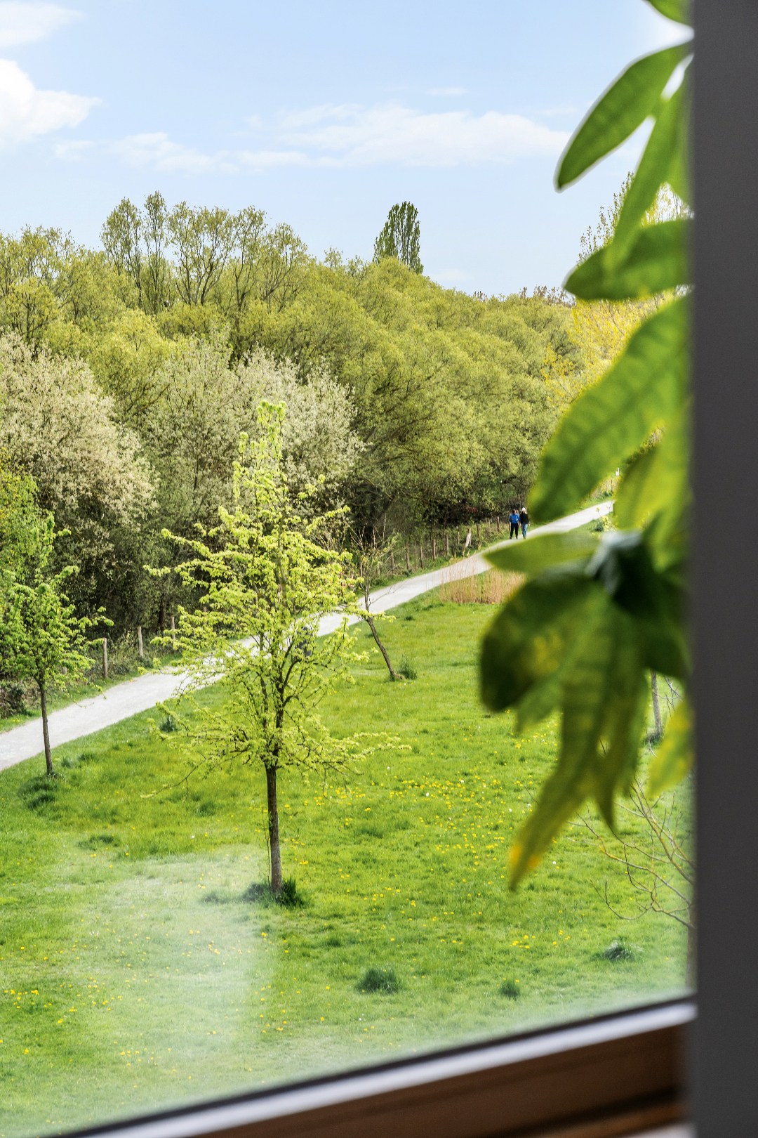 Lichtrijk hoekappartement met 2 slaapkamers, terras en uniek zicht op groen – EPC A11 - foto 5