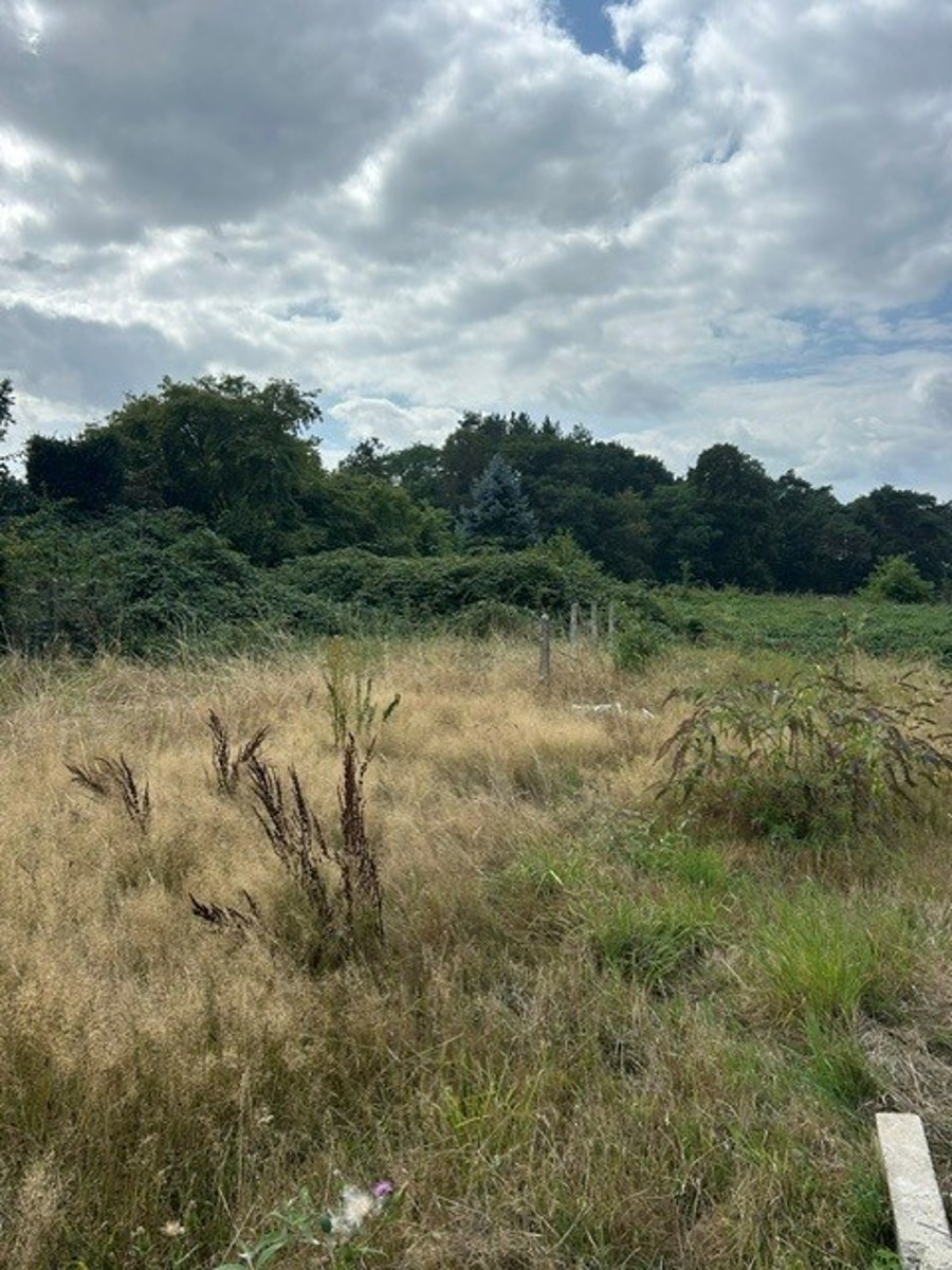 Grond te koop in Bilzen-Hoeselt - foto 4