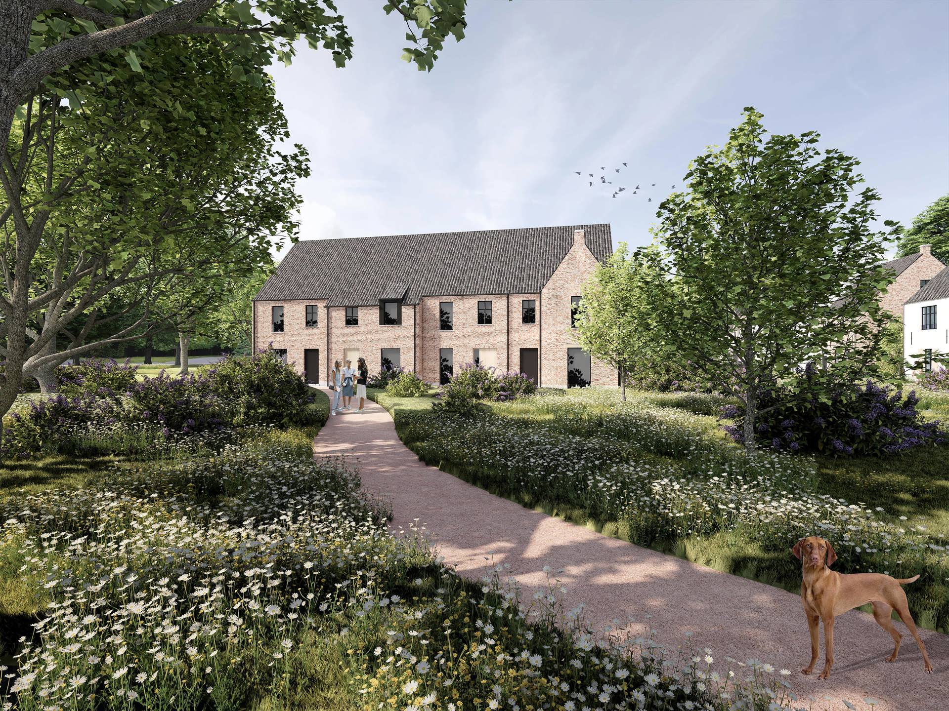 Project Hoogveld Wilsele - woning 13 - foto 5