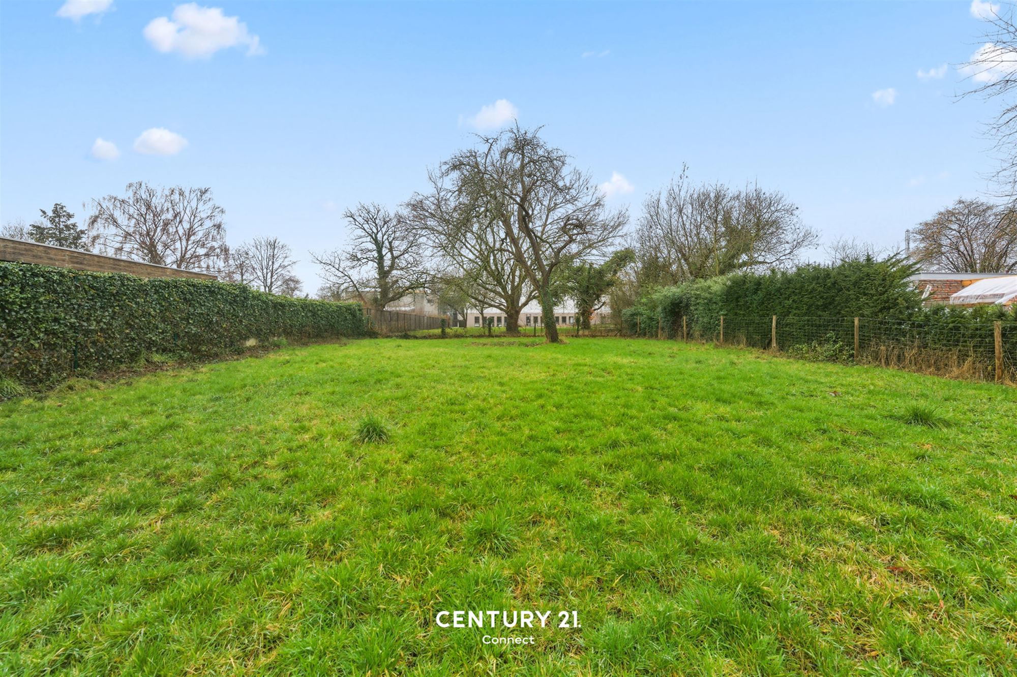 South facing building plot of 11a 24ca in Bierbeek - photo 4