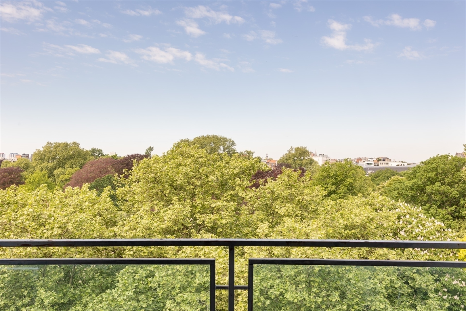 Stadspark ∣ Appartement met prachtig zicht + P - foto 1