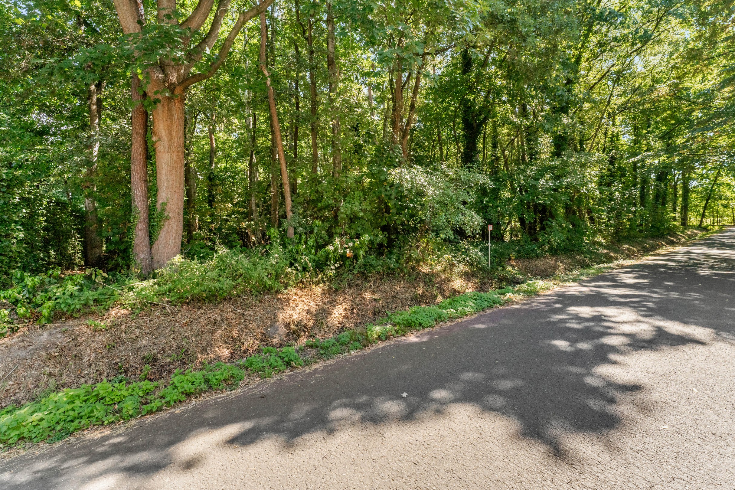 Bouwgrond in een bosrijke omgeving met een oppervlakte van 6473 m² te Retie - foto 5