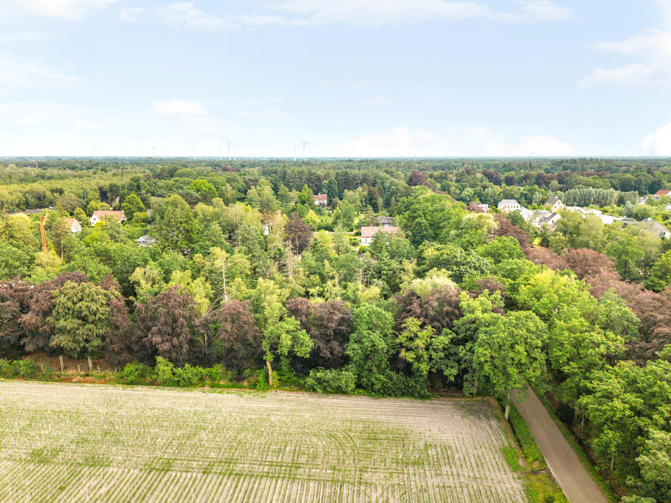 Terrain à vendre à Vieux-Turnhout