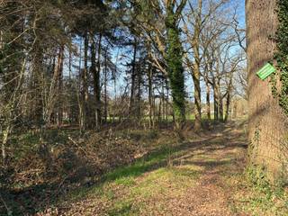 Groot stuk bos gelegen in grotendeels woonparkgebied en een deel in natuurgebied. Het totale perceel bedraagt 6175m². Pscore: D -...