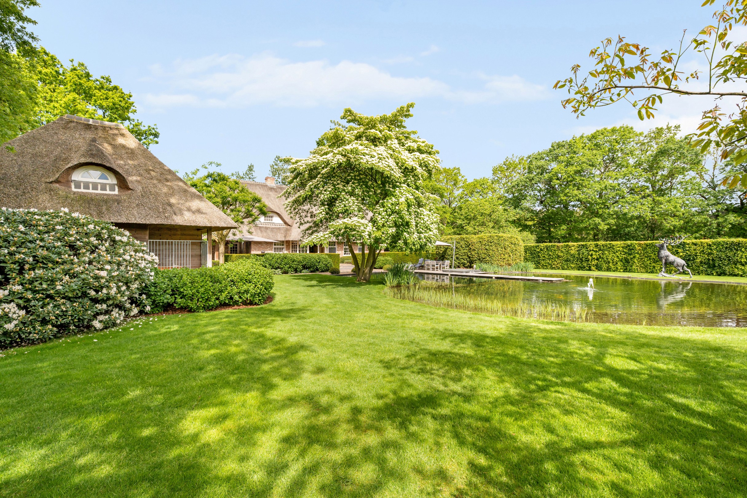 House for sale in Pelt with 4 bedrooms - photo 3