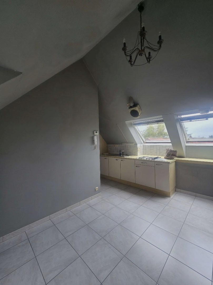 Appartement à louer à Saint-Nicolas avec 1 chambre - photo 4