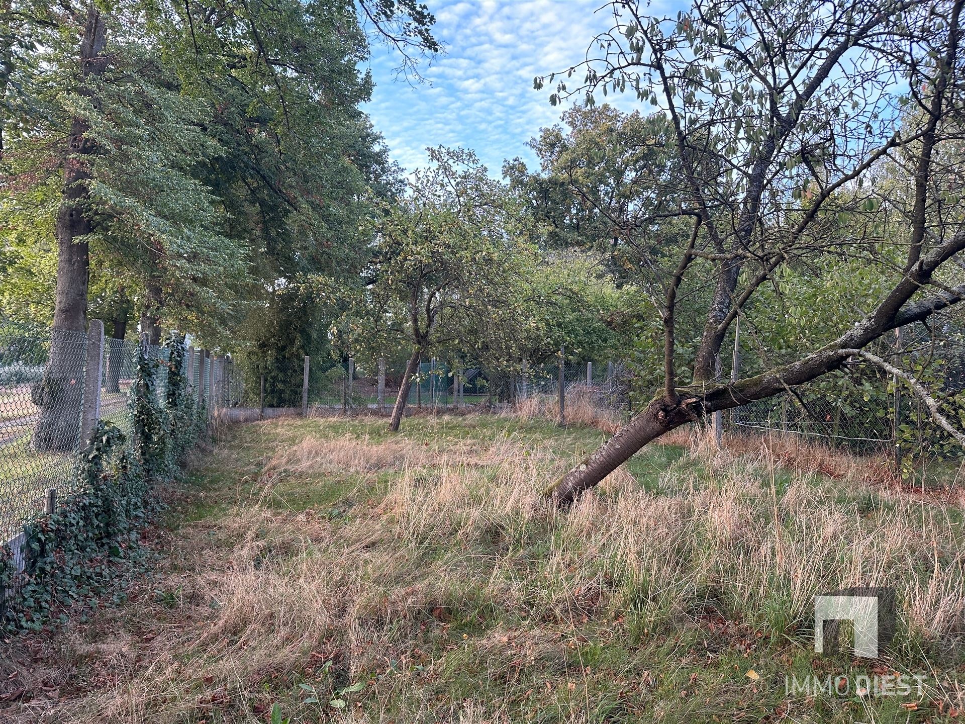 Maison à vendre à Schaffen avec 4 chambres - photo 4