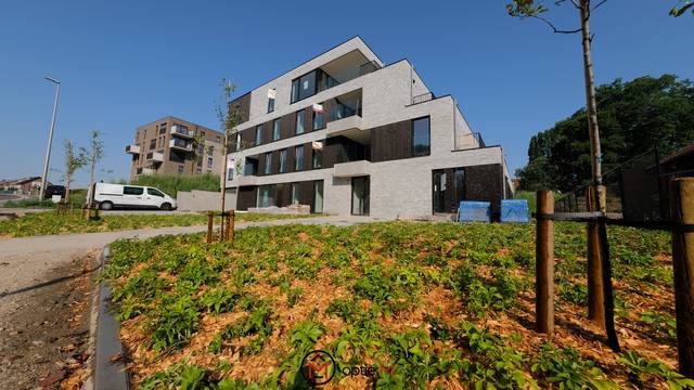 Project te koop in Tongeren