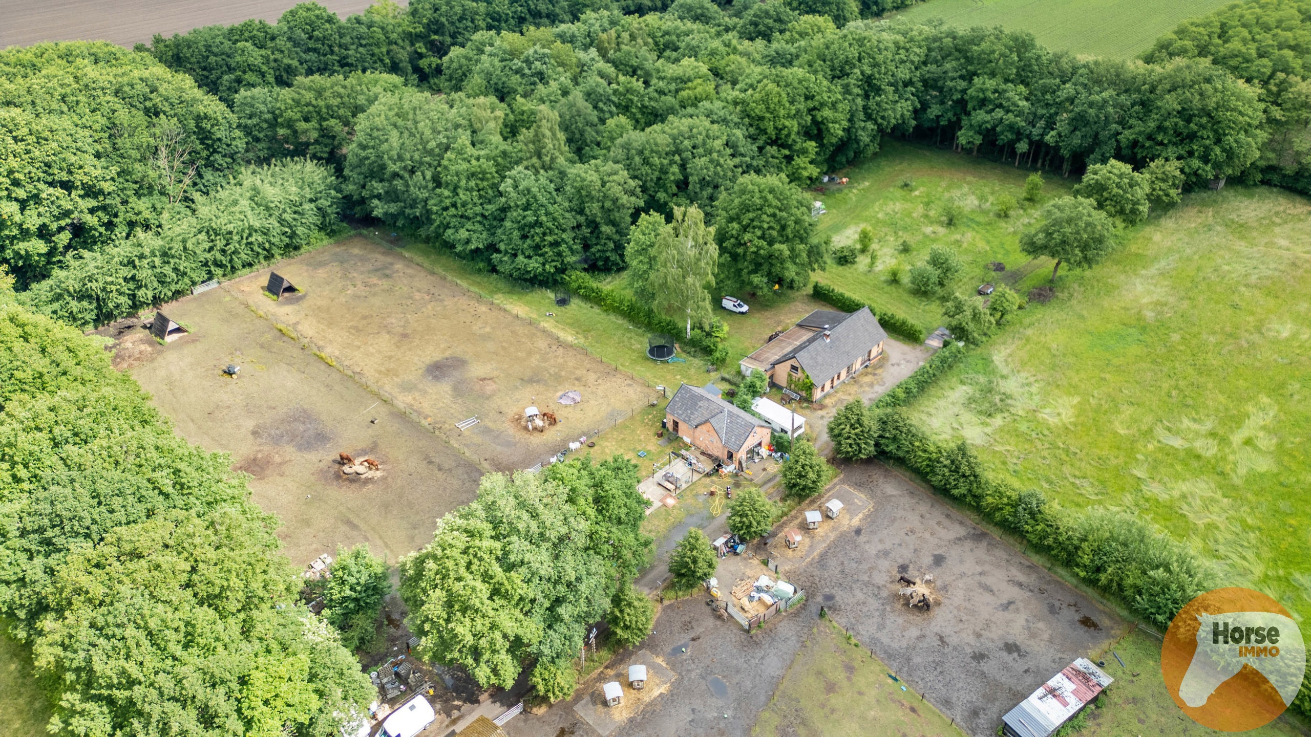 ITEGEM - Rustig gelegen woning en bijgebouw op 2,4Ha - foto 2