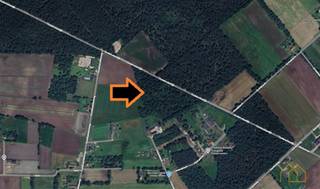 Bos van 2ha 11a en 52caGelegen langs de Oudemolsedijk, tussen de Oudekastelseweg en Aardeseweg.Voor bedrijven kan het interessant zijn om aan bosbouw...