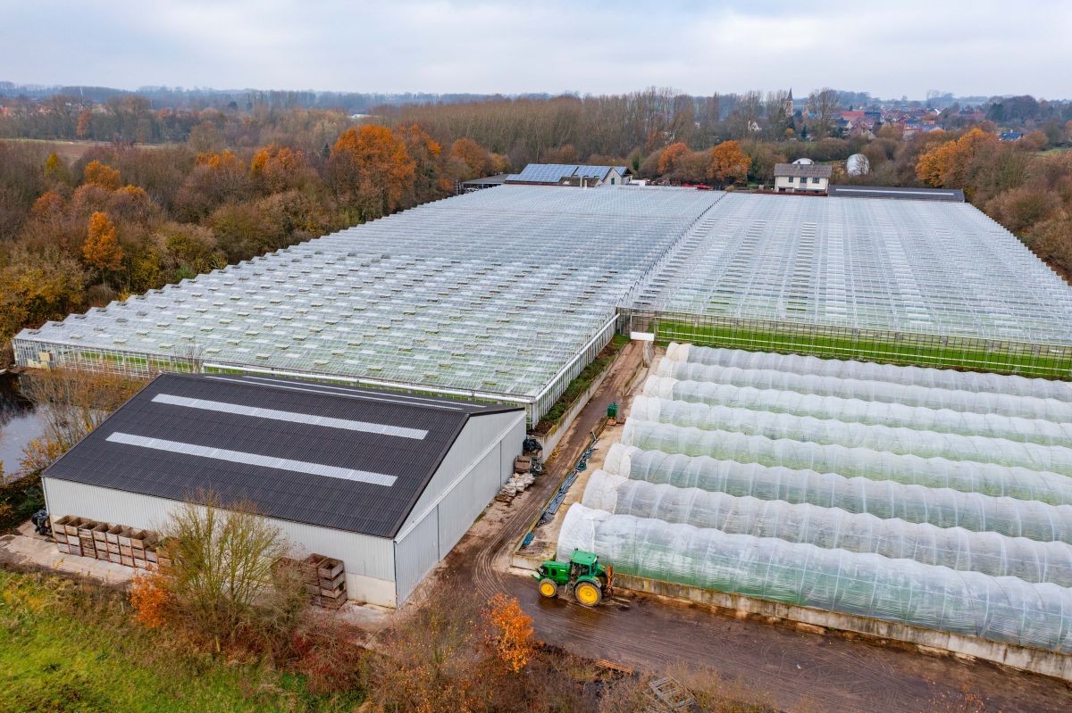 Groot serrebedrijf te koop te Lennik - photo 4