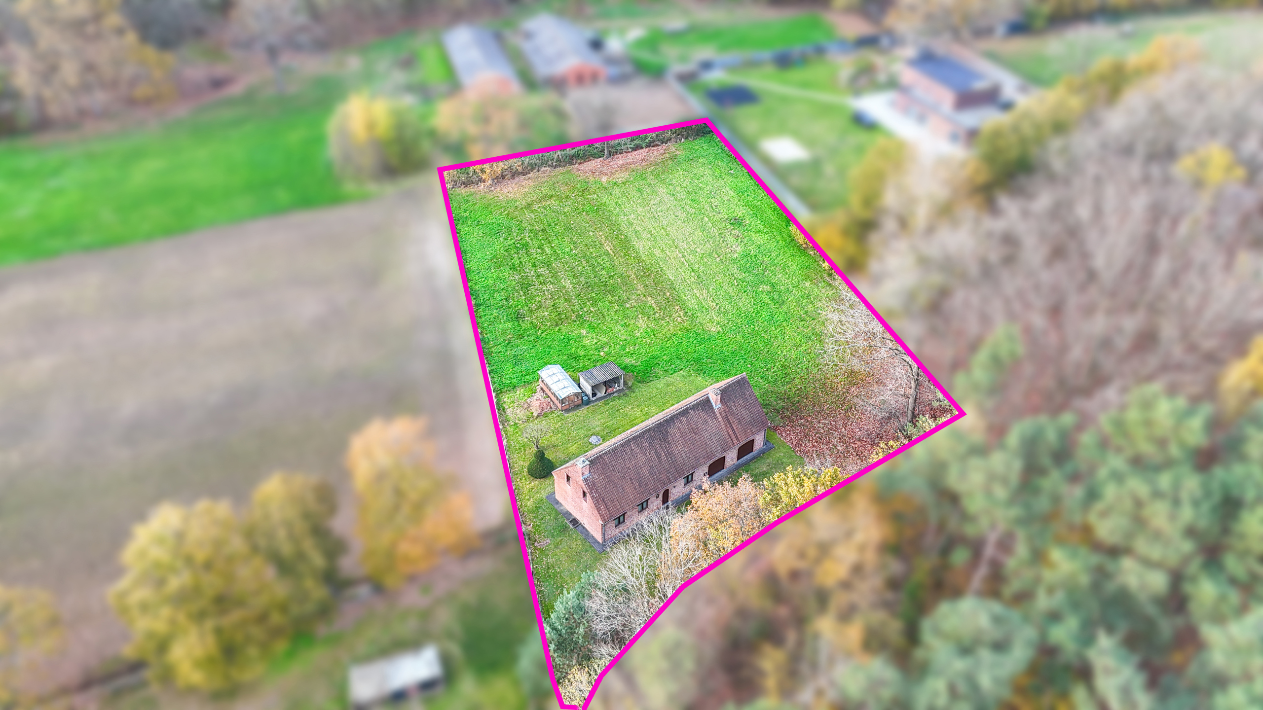 Exclusieve hoeve op 40are met bosrijke ligging te Paal! - foto 4