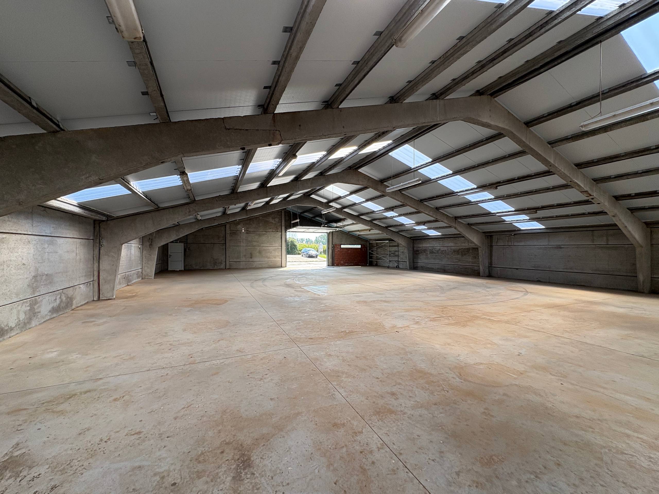 Commercial for rent in Herzele - photo 4