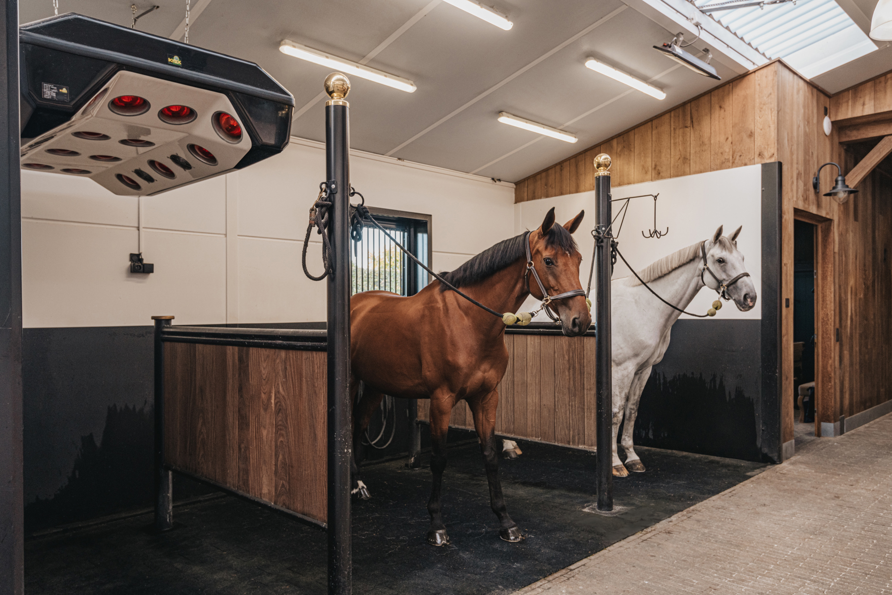 Exclusieve, hippische accommodatie op +/- 2,5ha - foto 4