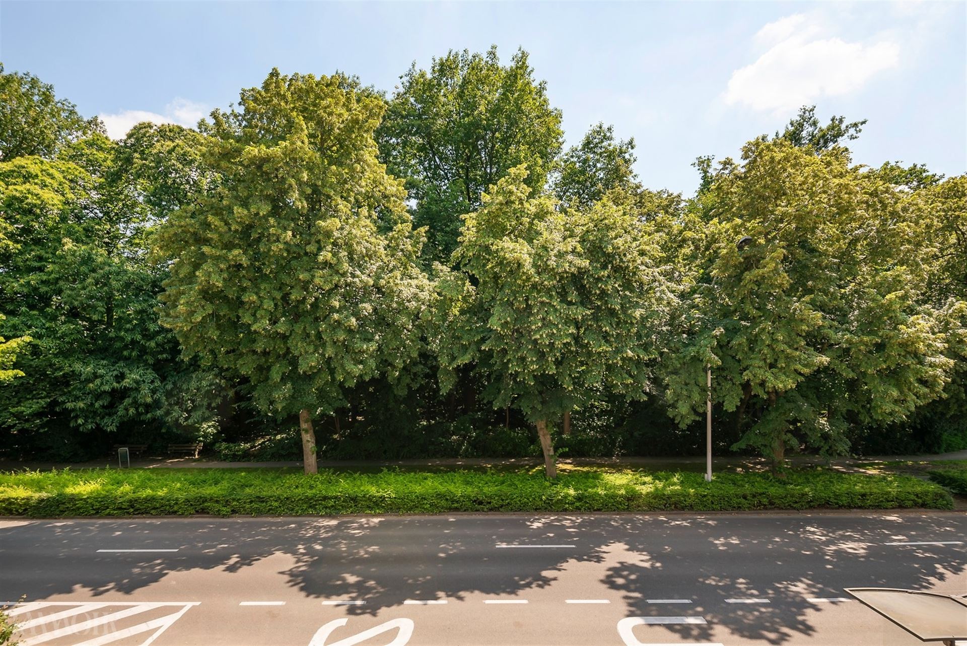 Bouwgrond voor eengezinswoning te koop in Schoten. - foto 5