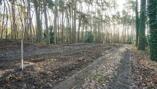 Rustig en residentieel gelegen bouwgrond van 31a10ca met aanpalende bosgrond van 37a50ca. Gelegen op het einde van een zijtak van de...