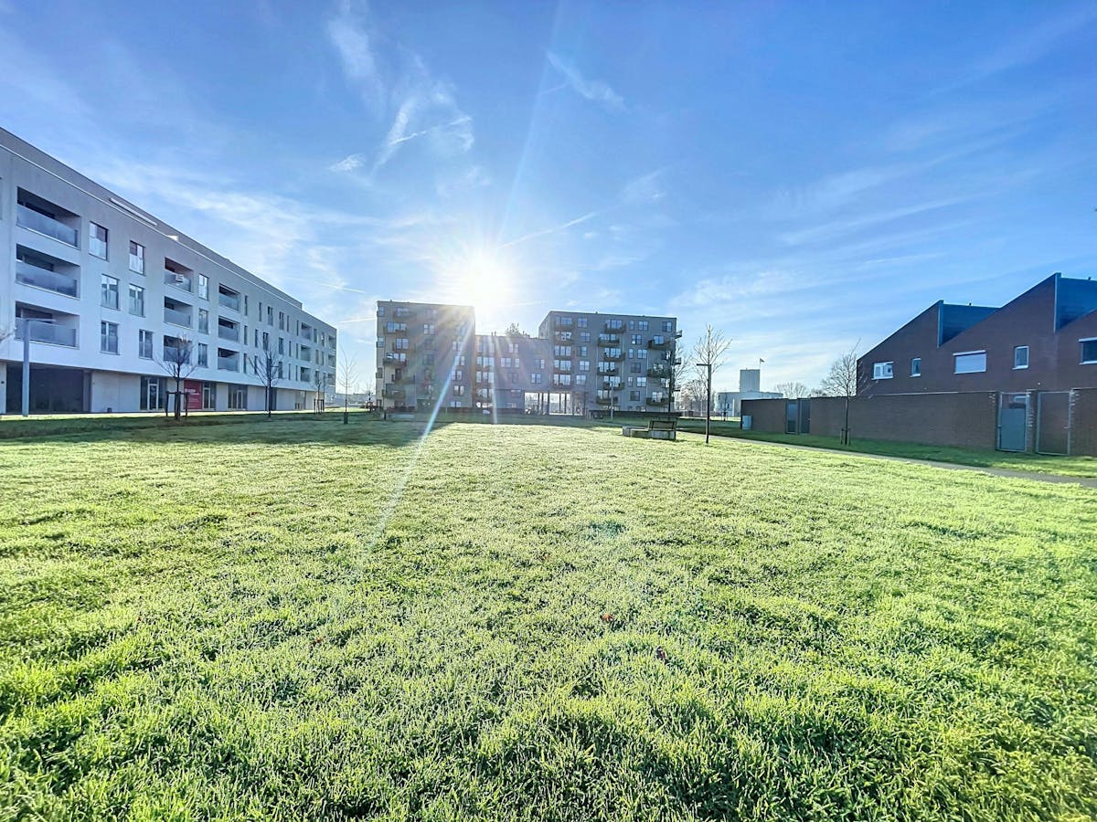 Local commercial nouvellement construit (43 m² - 331 m²) au centre de Lokeren - photo 2