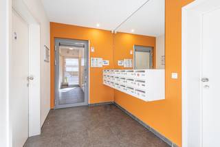 <p>Op zoek naar een interessante investering of een comfortabel éénkamerappartement op een centrale ligging in Molenbeek? Dit appartement bevindt zich in een recent gebouw van 2014 en biedt modern wooncomfort met een vlotte bereikbaarheid.</p><p>Het appartement beschikt over een inkomhal met vestiaire en apart gastentoilet, een aangename leefruimte met open, volledig geïnstalleerde keuken en toegang tot een terras, een ruime slaapkamer en een badkamer met douche.</p><p>Daarnaast is er een privatieve kelder inbegrepen. In het gebouw zijn er ook een afvallokaal met badgesysteem en een gemeenschappelijk fietslokaal aanwezig.</p><p>Het appartement is momenteel verhuurd en vormt hierdoor een interessante investeringsopportuniteit met onmiddellijk rendement. Verder geniet het van een gunstige EPC-score B en een conforme elektrische installatie.</p><p>Een autostaanplaats is verplicht mee aan te kopen aan een prijs van €21.000.</p>