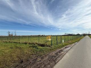 Perceel grond van 2300 m² te huur - Dadizelestraat Moorsele. Volledig omheind. Diverse doeleinden. Zeer mooi perceel op een zeer mooie...