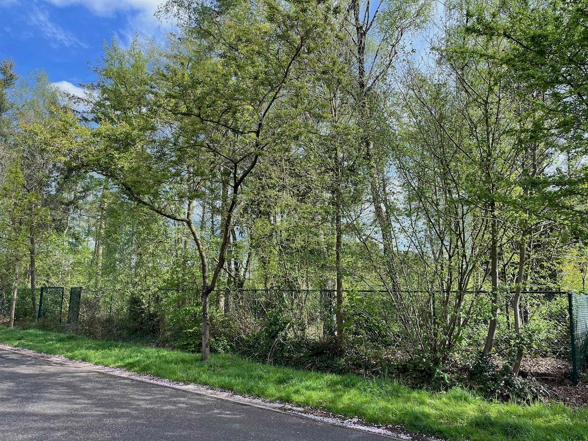 Terrain à vendre à Rijkevorsel - photo 3