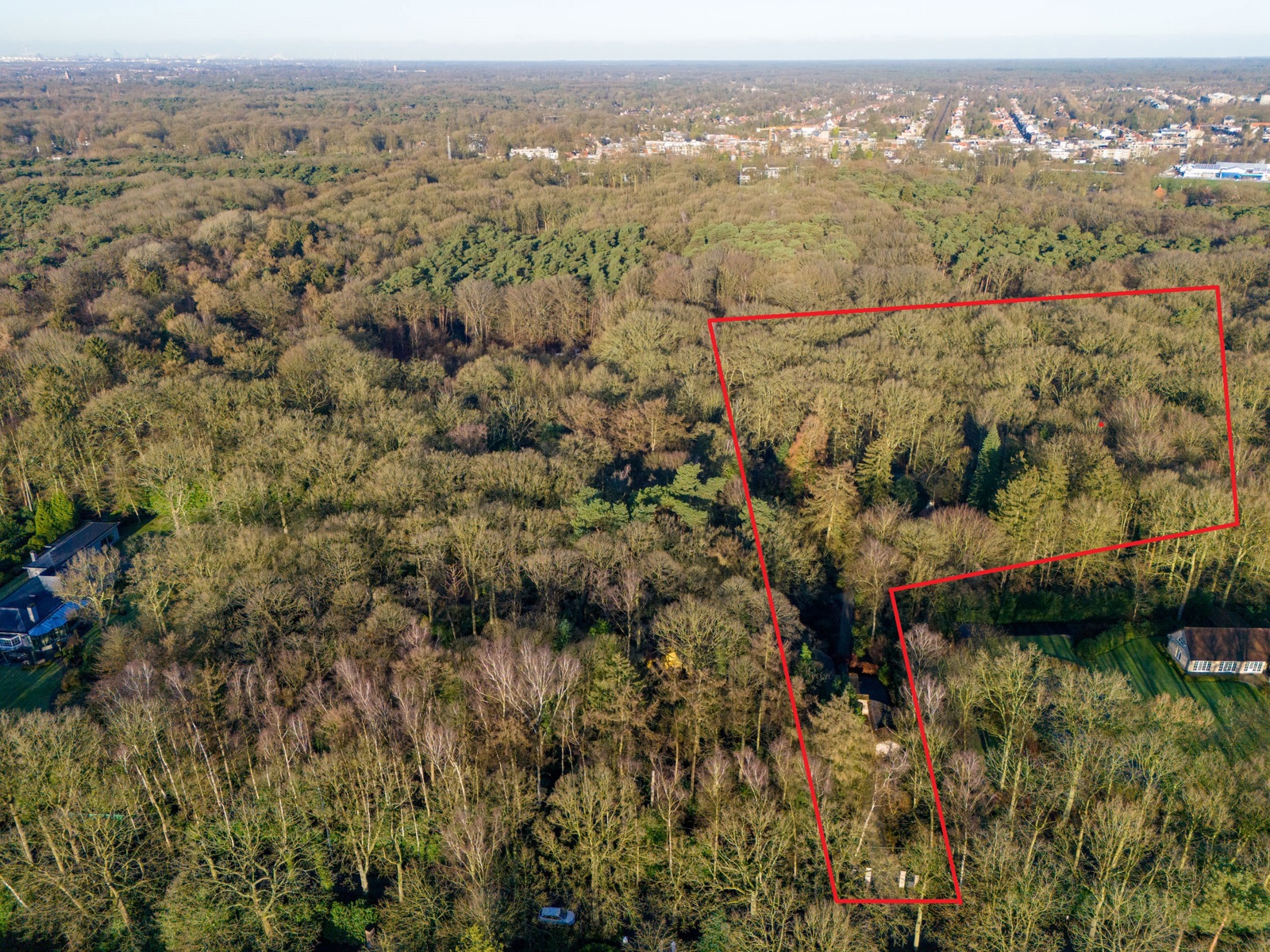 Villa op een perceel van 7.887 m² grenzend aan het Peerdsbos. - foto 4