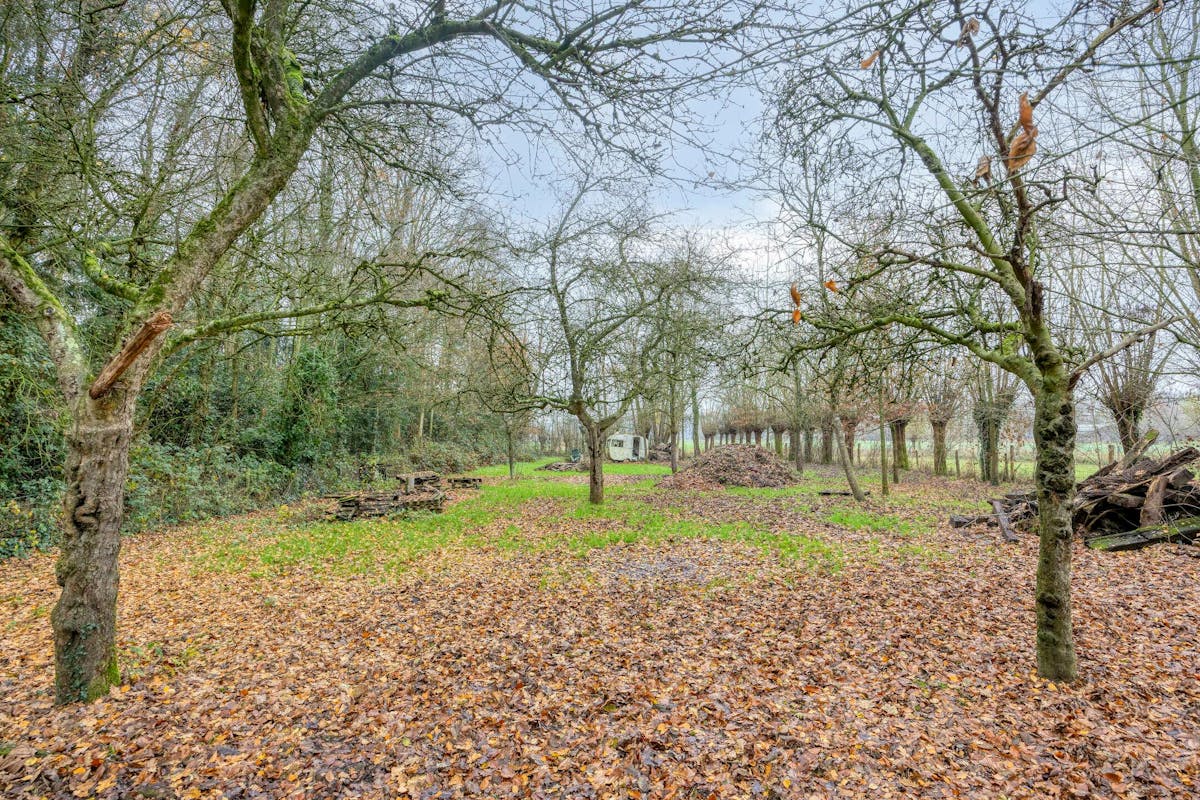 Maison individuelle avec dépendance sur un terrain de 4012m² à Moerkerke - photo 3