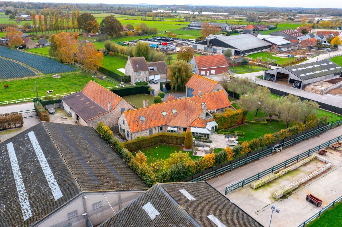 Groot vleesveebedrijf te koop te Diksmuide - foto 5
