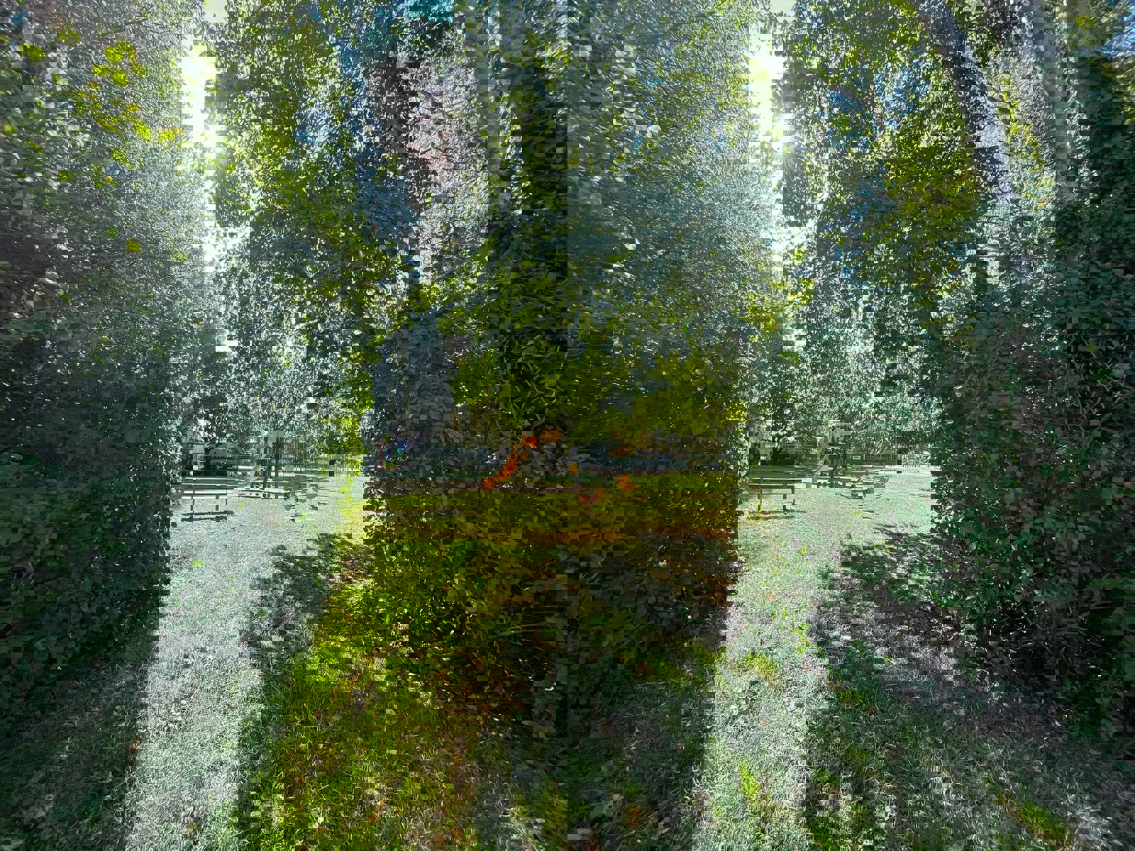 Moderne, vrijstaande woning - foto 5