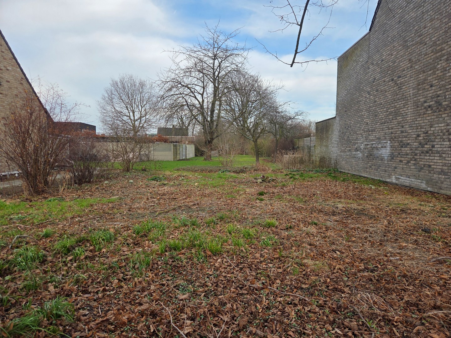 Land for sale in Westerlo - photo 3