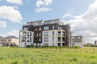 Apartment for rent in Wetteren