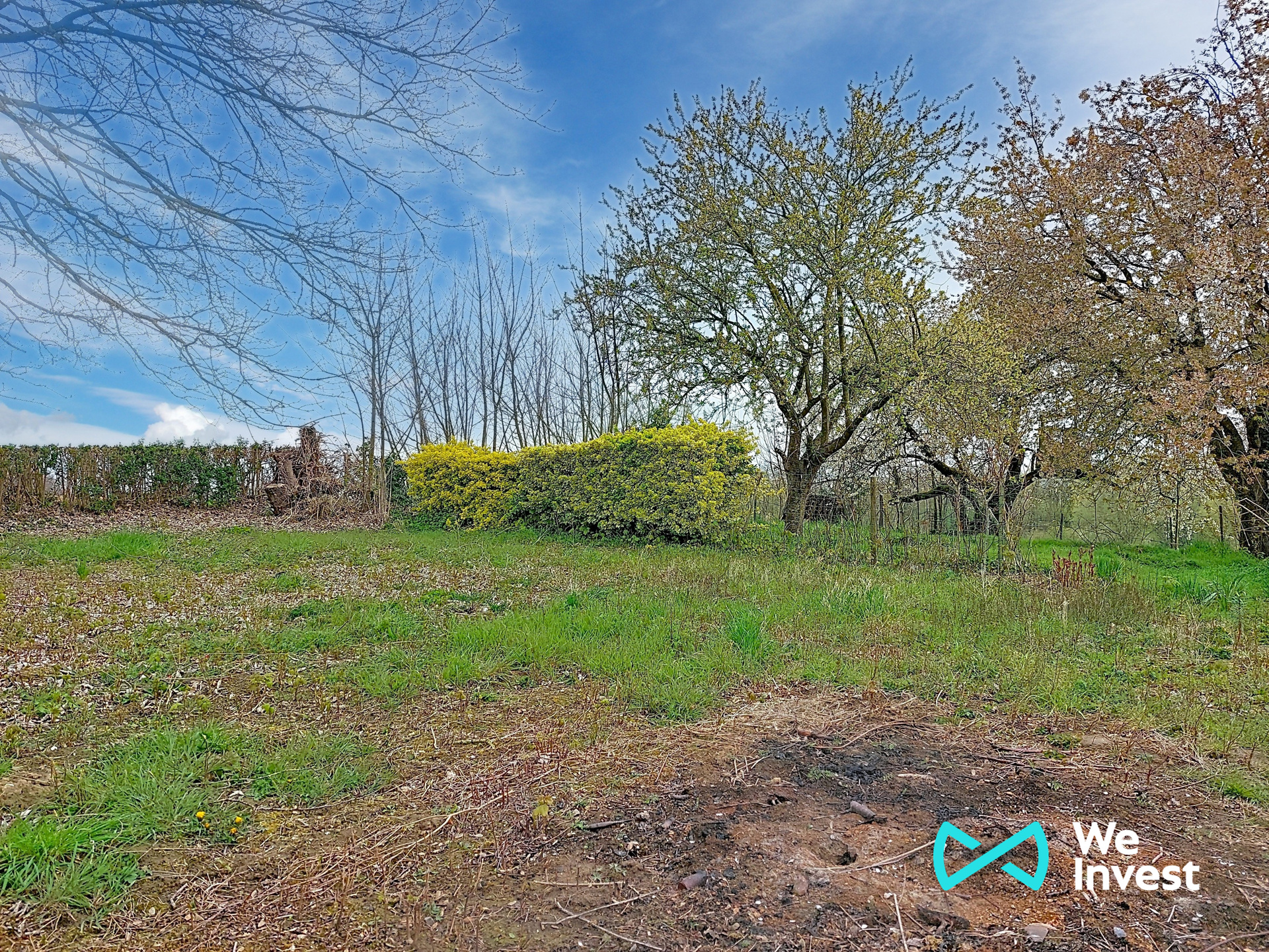 House for rent in Hannut with 3 bedrooms - photo 4