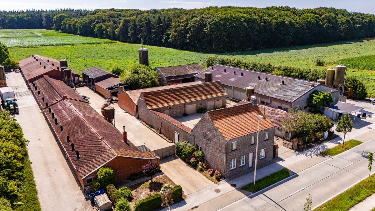 Hoeve te koop te Aalter (Maria-Aalter) - foto 4