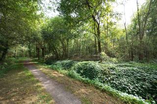 Voor verdere info of een vrijblijvende waardebepaling van uw eigendom: joeri.vandeven@homixx.be of 016 199 346.<br /><br />Ontdek deze bospercelen van samen 4.470 m², gelegen in een groene en rustige omgeving aan de Steestraat in Tremelo. Een unieke plek waar rust, natuur en privacy centraal staan. Ideaal voor natuurliefhebbers, als investering of om eenvoudig te genieten van een eigen stukje bos. Dankzij de vlotte bereikbaarheid combineert deze eigendom een landelijke ligging met een goede verbinding naar de omliggende gemeenten.<br /><br />Achteraan op het terrein bevinden zich een aantal dode of afstervende sparren en liggen 10 door derden achtergelaten autobanden.<br />De verkoper kan deze banden nog laten verwijderen.Indien de koper de banden zelf wenst af te voeren, is een korting van € 500 op de vraagprijs mogelijk<br /><br />Een zeldzame kans om eigenaar te worden van een waardevol stukje natuur.