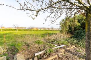 <p>Vous êtes à la recherche d’un projet de rénovation que vous pourrez aménager entièrement selon vos goûts ? Cette maison située Kieldrechtsebaan 89 à Verrebroek offre une opportunité intéressante pour les acquéreurs prêts à entreprendre une rénovation complète.</p>
<p>La maison est située sur un terrain d’environ 475 m² et doit être entièrement rénovée. Cela offre à l’acquéreur la possibilité de repenser le bien selon ses propres souhaits, les normes de confort actuelles et des techniques énergétiques performantes.</p>
<p>Le bien s’adresse principalement aux bricoleurs avertis, aux acquéreurs à la recherche d’un projet de rénovation ou aux investisseurs souhaitant acquérir un bien avec potentiel de rénovation. Moyennant les travaux nécessaires, cette propriété peut être transformée en une agréable habitation avec jardin, terrasse et espace extérieur.</p>
<p>La situation à Verrebroek permet une bonne connexion vers Beveren, Saint-Nicolas, le port du Waasland et Anvers. Le bien peut ainsi être intéressant pour une occupation personnelle, une mise en location ou une revente future, toujours dans le respect de la réglementation applicable.</p>
<p><strong>Information urbanistique importante :</strong> selon les renseignements urbanistiques disponibles, le bien est situé dans une zone soumise à des prescriptions spécifiques. L’habitation est située en zone non conforme et le terrain est affecté par une ligne d’alignement. Les candidats acquéreurs sont expressément invités à consulter attentivement les renseignements urbanistiques avant de formuler une offre et, le cas échéant, à solliciter un avis complémentaire auprès des services compétents ou de leur notaire.</p>
<p>PEB : F – 1161 kWh/m² par an. L’obligation de rénovation est applicable. Une rénovation énergétique approfondie sera donc nécessaire, mais elle offre également l’opportunité d’améliorer considérablement la performance énergétique et le confort de vie du bien.</p>
<p>En résumé : il ne s’agit pas d’une maison standard, mais d’un bien destiné à des acquéreurs ayant une vision claire et recherchant consciemment un projet de rénovation au profil particulier. Moyennant une analyse correcte du contexte urbanistique et l’obtention des autorisations nécessaires, ce bien peut constituer une opportunité intéressante.</p>
<p>Intéressé(e) ? Contactez-nous pour plus d’informations ou pour organiser une visite.</p>