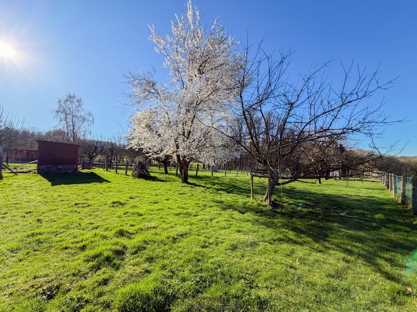 Te koop, prachtig gelegen woning op mooi stuk grond te Maarkedal - foto 1
