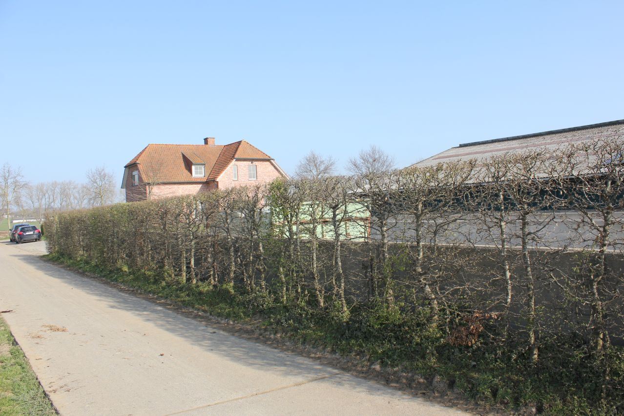 House for sale in Moortsele with 4 bedrooms - photo 5