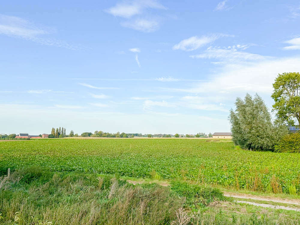 Te koop, te renoveren gezinswoning met ruime tuin op landelijke ligging te Otegem (Zwevegem) - foto 2