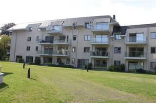 <p><span>LUMINEUS, ENERGIEZUINIG EN ROLSTOELVRIENDELIJK APPARTEMENT MET 1 SLAAPKAMER, TERRAS 8M² EN ONDERGRONDSE AUTOSTAANPLAATS</span></p><p><span>2de verdieping met lift - ligging in de luxueuze residentie "Parkhof Ter Zielbeek" met zicht op park en met vlotte bereikbaarheid via A12, N16 en N17</span></p><p><span> </span></p><p><span>Brede inkom / living met eetplaats met ingerichte open keuken (totale opp.: 27m²) en toegang tot terras (4 x 2m) / berging met wasplaats (1,9 x 1,1m) / slaapkamer (4,5 x 2,9m) / grote badkamer (3,1 x 2,9m) met wastafel, inloopdouche en wc.</span></p><p><span>Autostaanplaats in ondergrondse garage.</span></p><p><span> </span></p><p><span>Elektriciteit conform AREI</span></p>