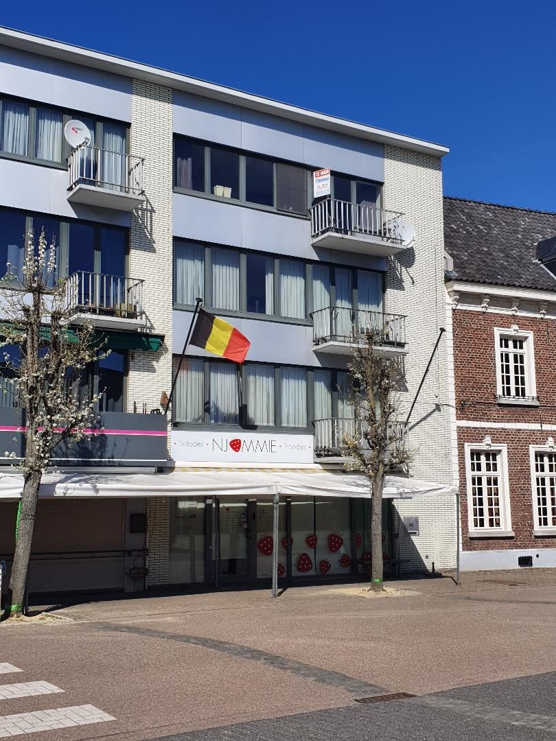 :Woningtype te :Stad