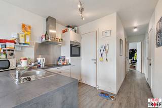 Appartement à louer à Termonde