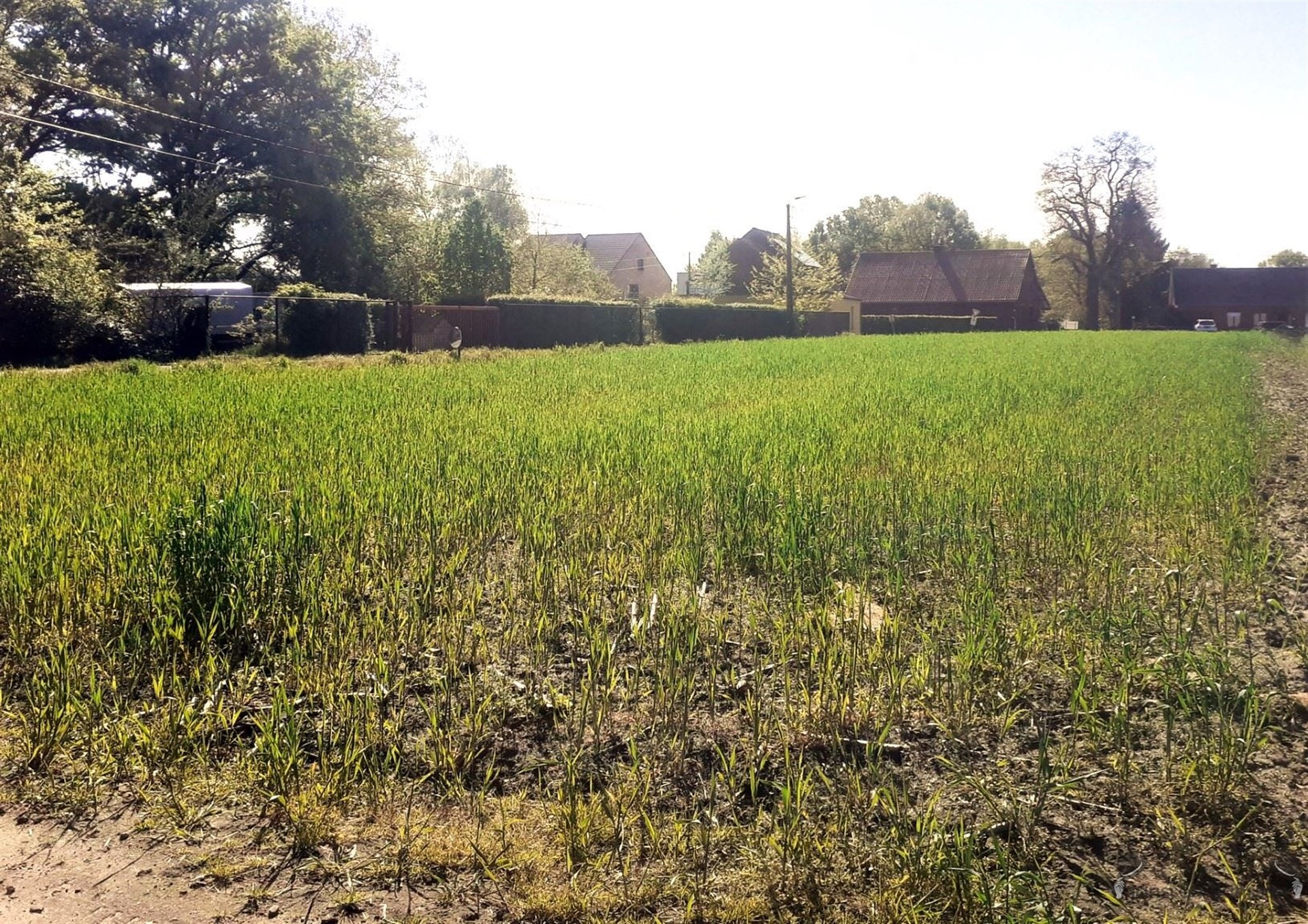 Ruime bouwgrond(2544m²) open bebouwing te Baal. - foto 5