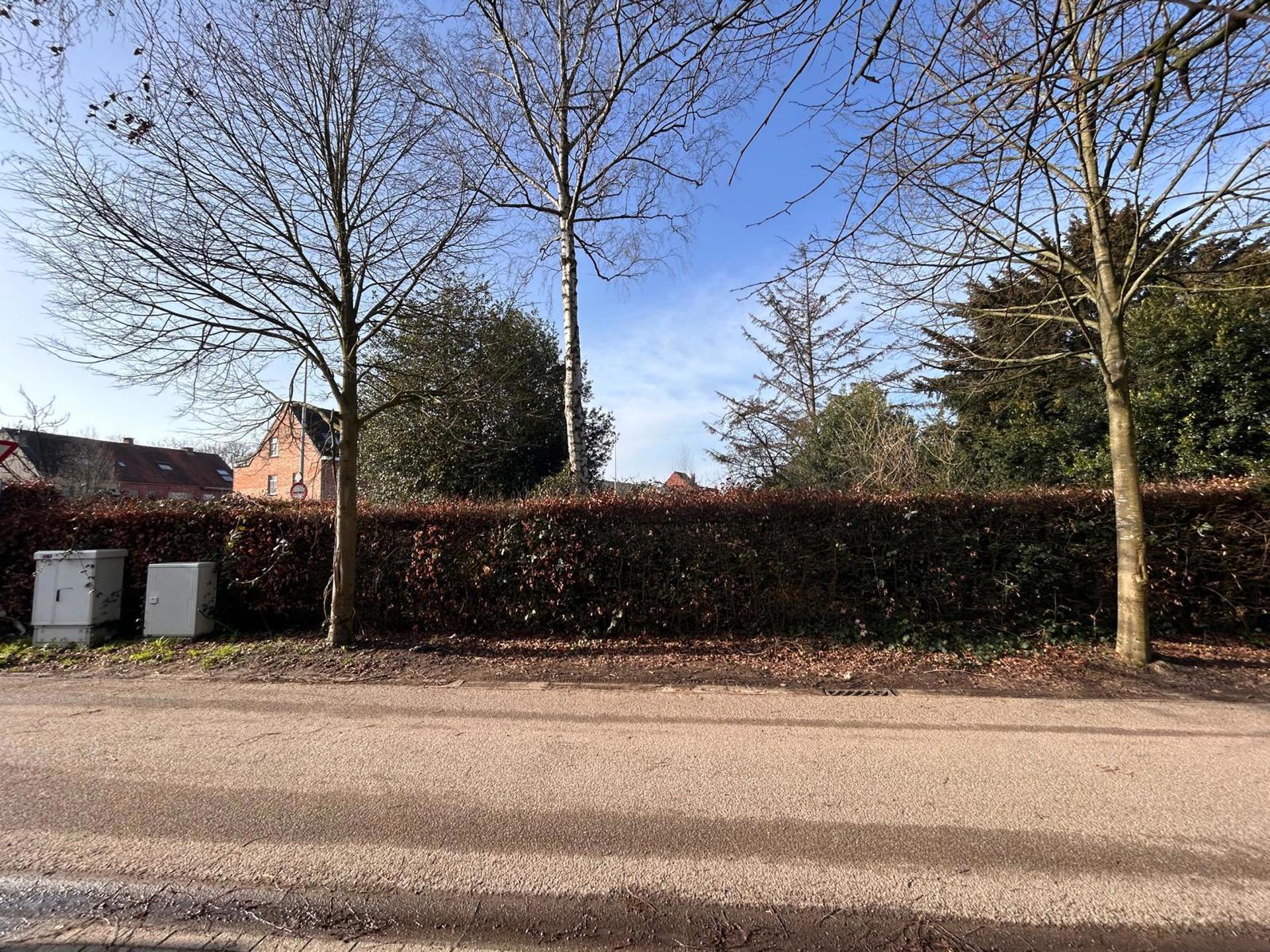 Grond te koop in Kalmthout - foto 4