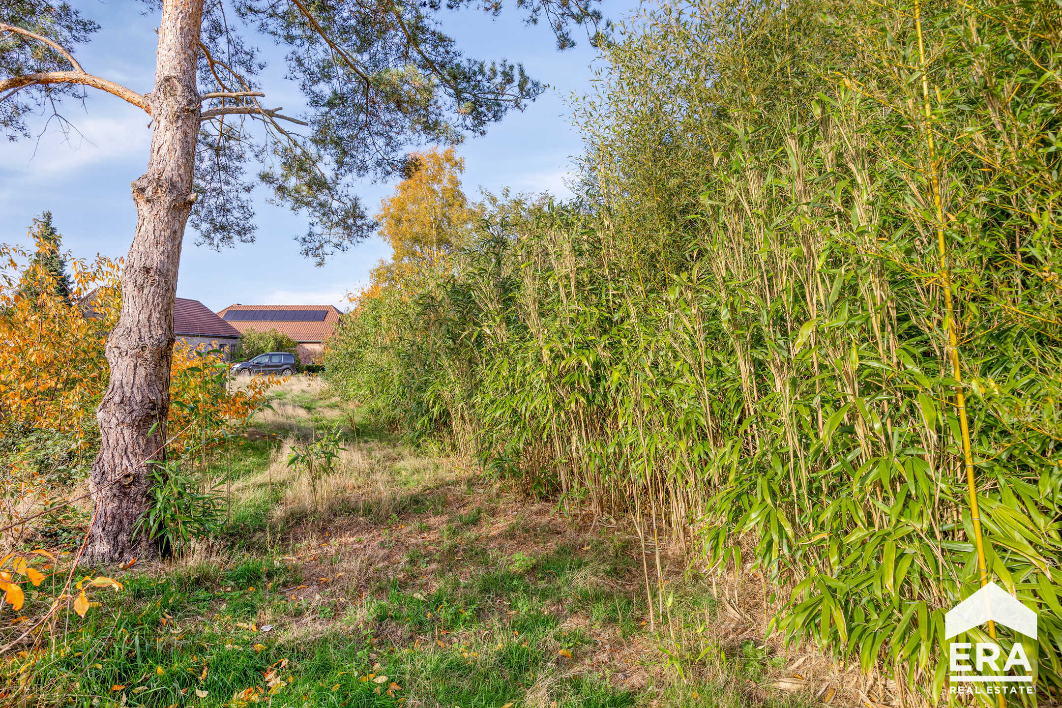 Terrain à vendre à Lommel - photo 5